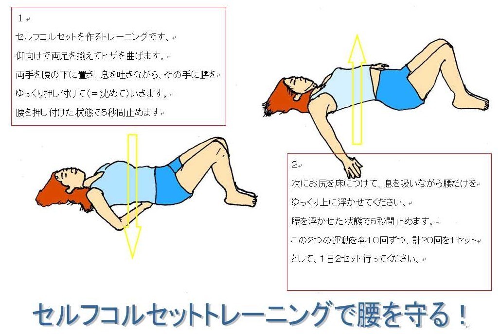 腰痛予防エクササイズ図解