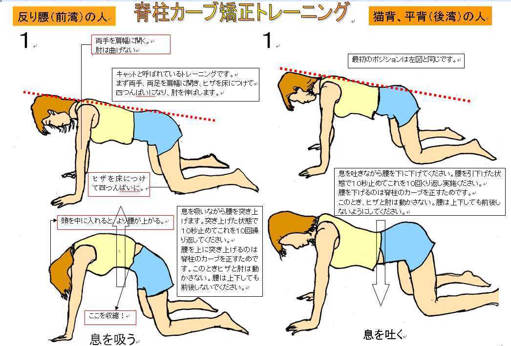 腰痛予防エクササイズ２