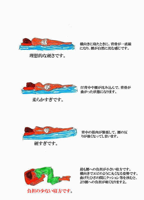 寝具における身体への影響イラスト